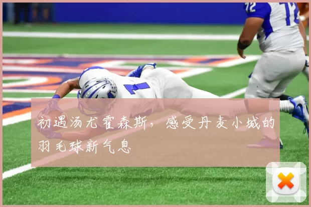 初遇汤尤霍森斯，感受丹麦小城的羽毛球新气息