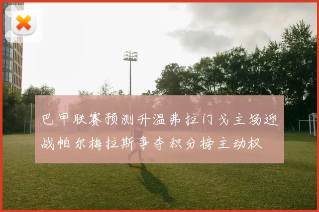 巴甲联赛预测升温弗拉门戈主场迎战帕尔梅拉斯争夺积分榜主动权