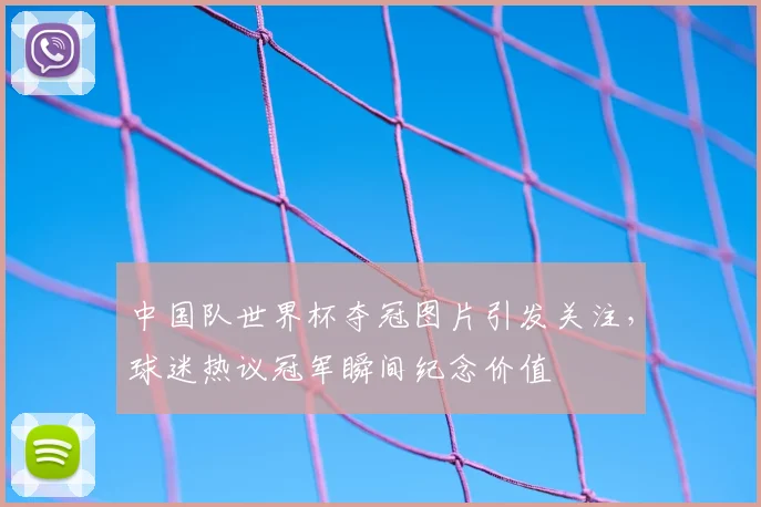中国队世界杯夺冠图片引发关注，球迷热议冠军瞬间纪念价值
