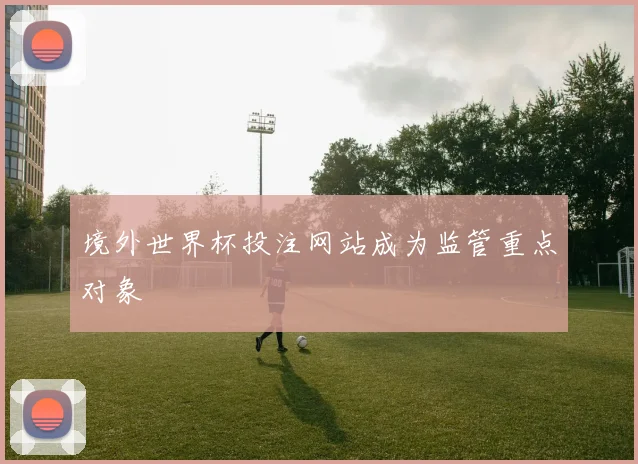 境外世界杯投注网站成为监管重点对象